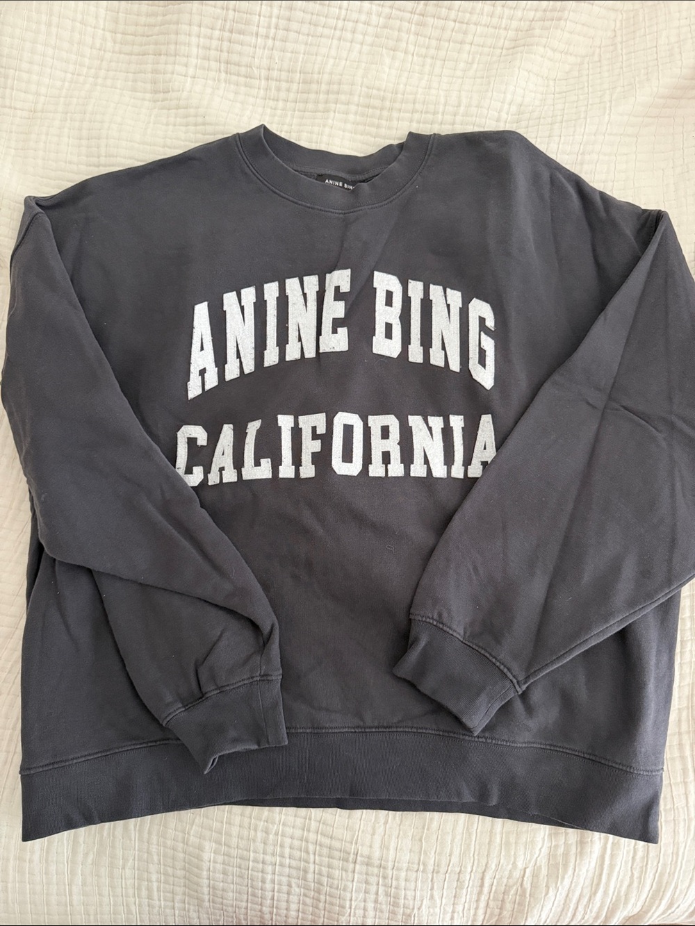 ANINE BING Miles Sweatshirt in a vintage black wash